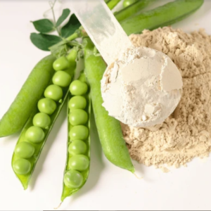 FRENCH VANILLA PLANT-BASED PROTEIN POWDER